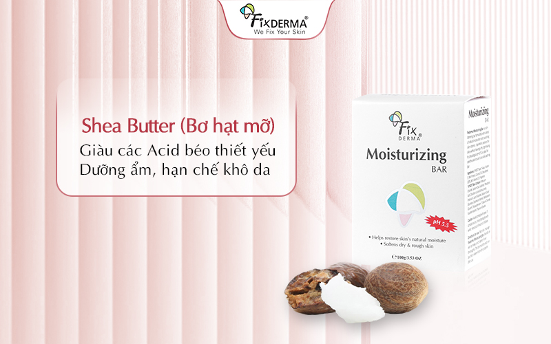 Shea Butter (Bơ hạt mỡ)