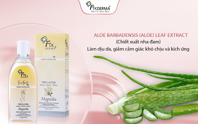 Aloe Barbadensis (Aloe) Leaf Extract