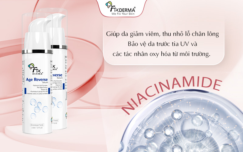 Niacinamide có khả năng thúc đẩy sản sinh Ceramide