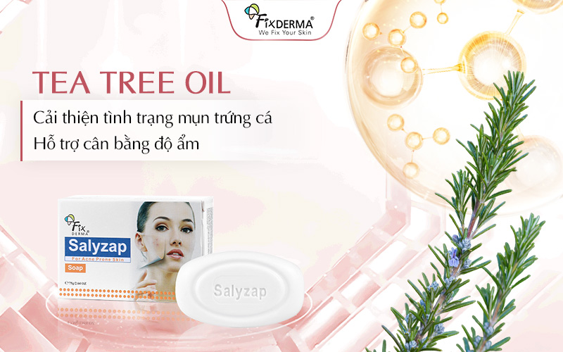 Tinh dầu tràm trà có khả năng kháng khuẩn và làm dịu da