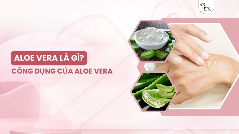 aloe vera là gì