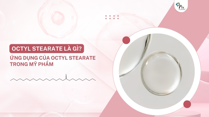 octyl stearate là gì