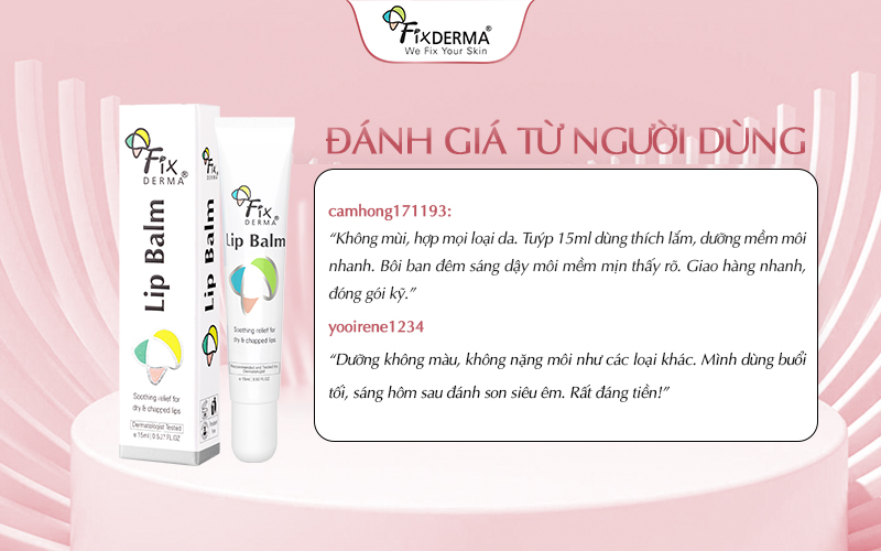 Đánh giá từ người dùng